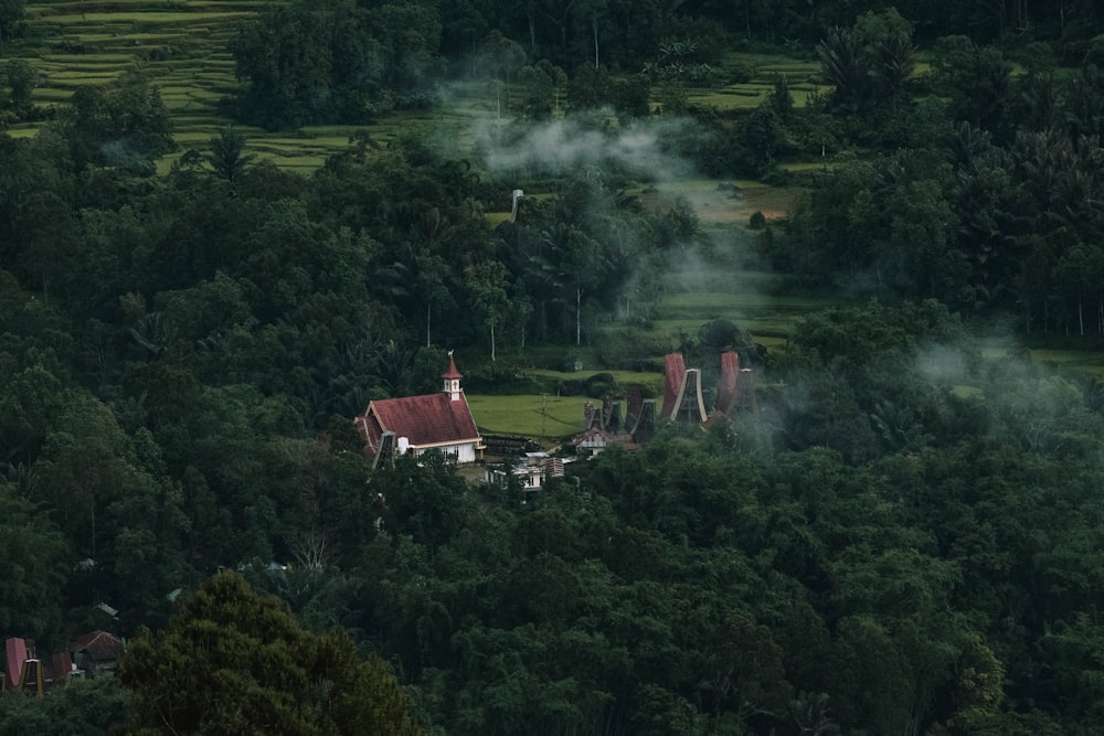 a house in the middle of a lush green forest