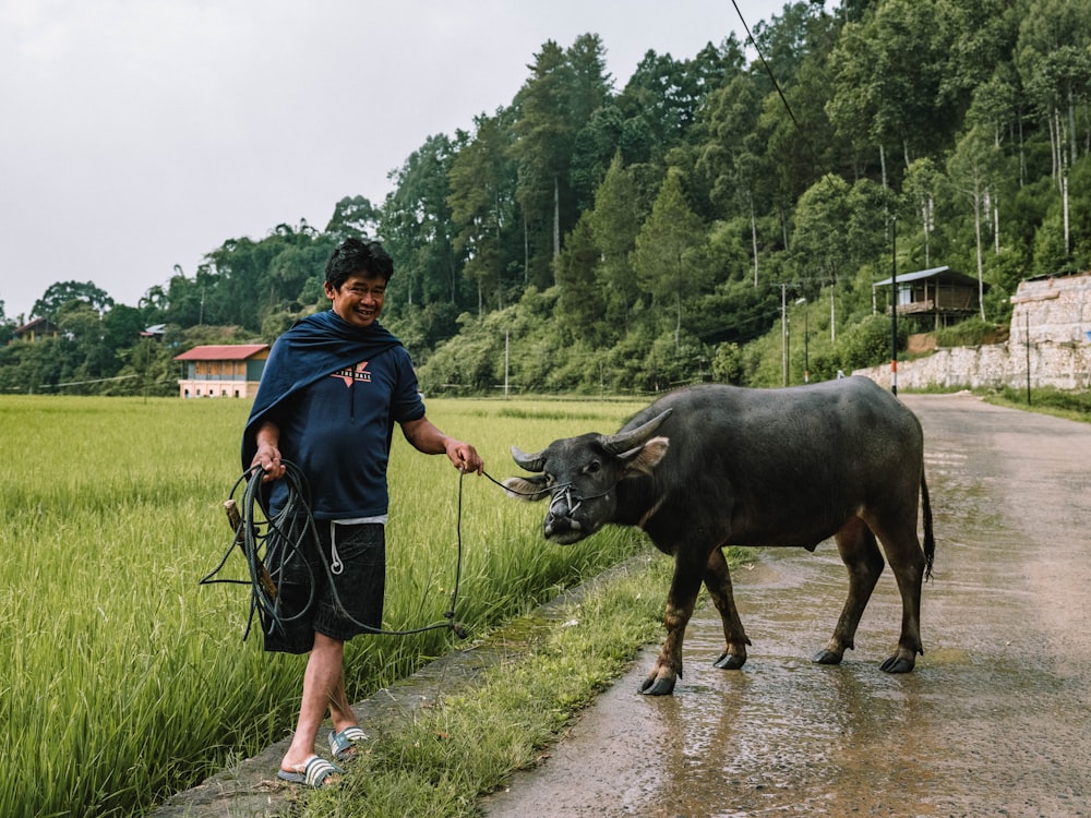 a man walking a cow down a dirt road