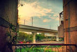 Evening shot of a railway bridge with concrete forms and safety barriers in place.