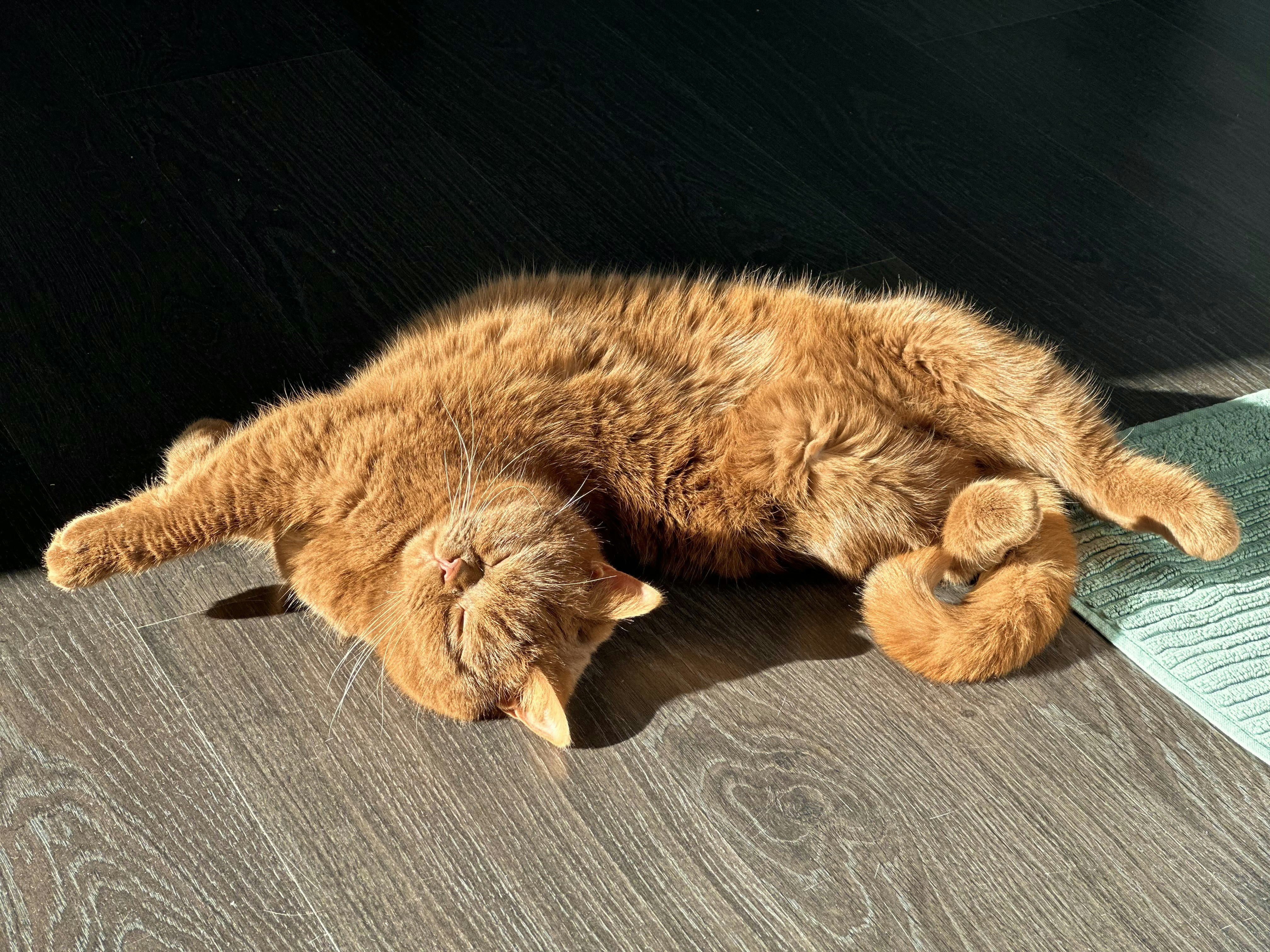 Photo by martin_numan