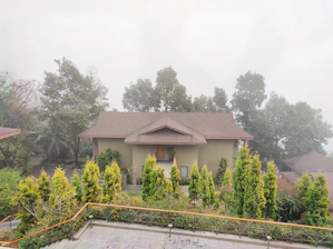 Modern wooden house surrounded by lush greenery in the rainy southern Chilean landscape.