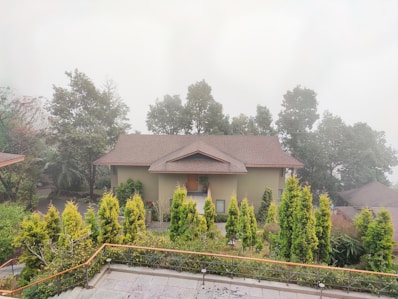 A modern house with a sloped roof sits surrounded by tall trees and lush greenery. The area is shrouded in mist, creating a serene and tranquil atmosphere. The foreground features a well-maintained garden with small trees and shrubs.