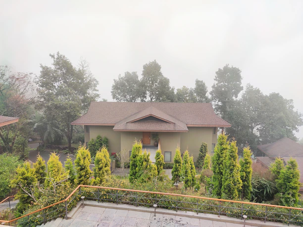 Modern wooden house surrounded by lush greenery in the rainy southern Chilean landscape.