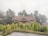 A modern house with a sloped roof sits surrounded by tall trees and lush greenery. The area is shrouded in mist, creating a serene and tranquil atmosphere. The foreground features a well-maintained garden with small trees and shrubs.