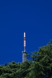 A communication tower with a series of red and white stripes extends into a vibrant blue sky. The base of the tower is surrounded by lush green pine trees.