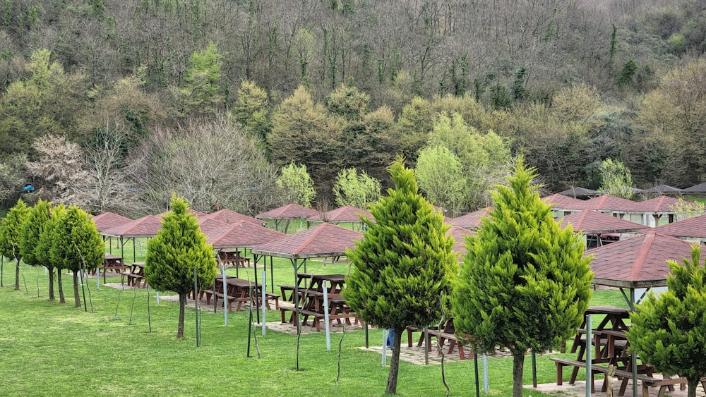 a row of wooden tables and chairs in a field