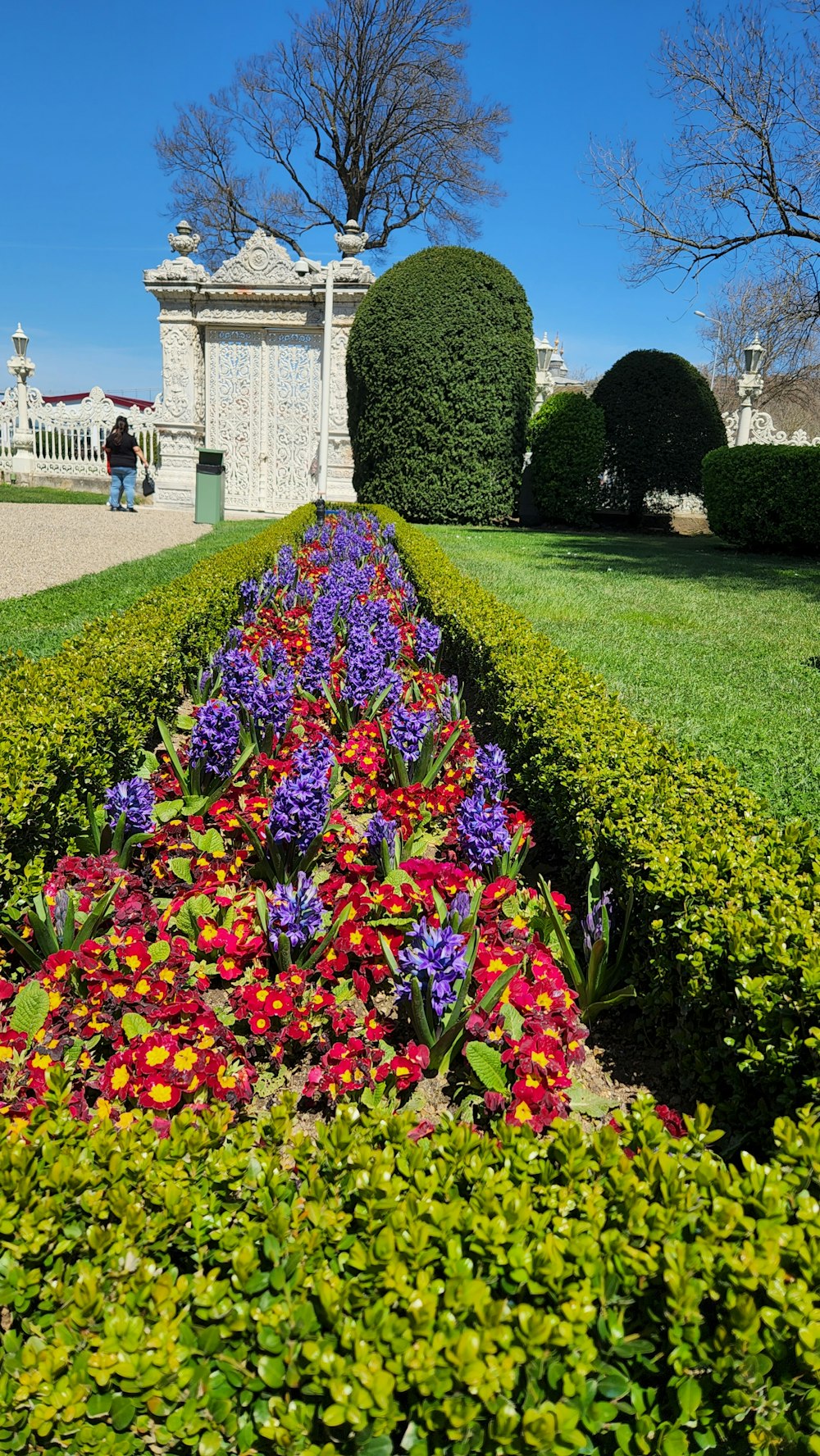 a garden filled with lots of colorful flowers