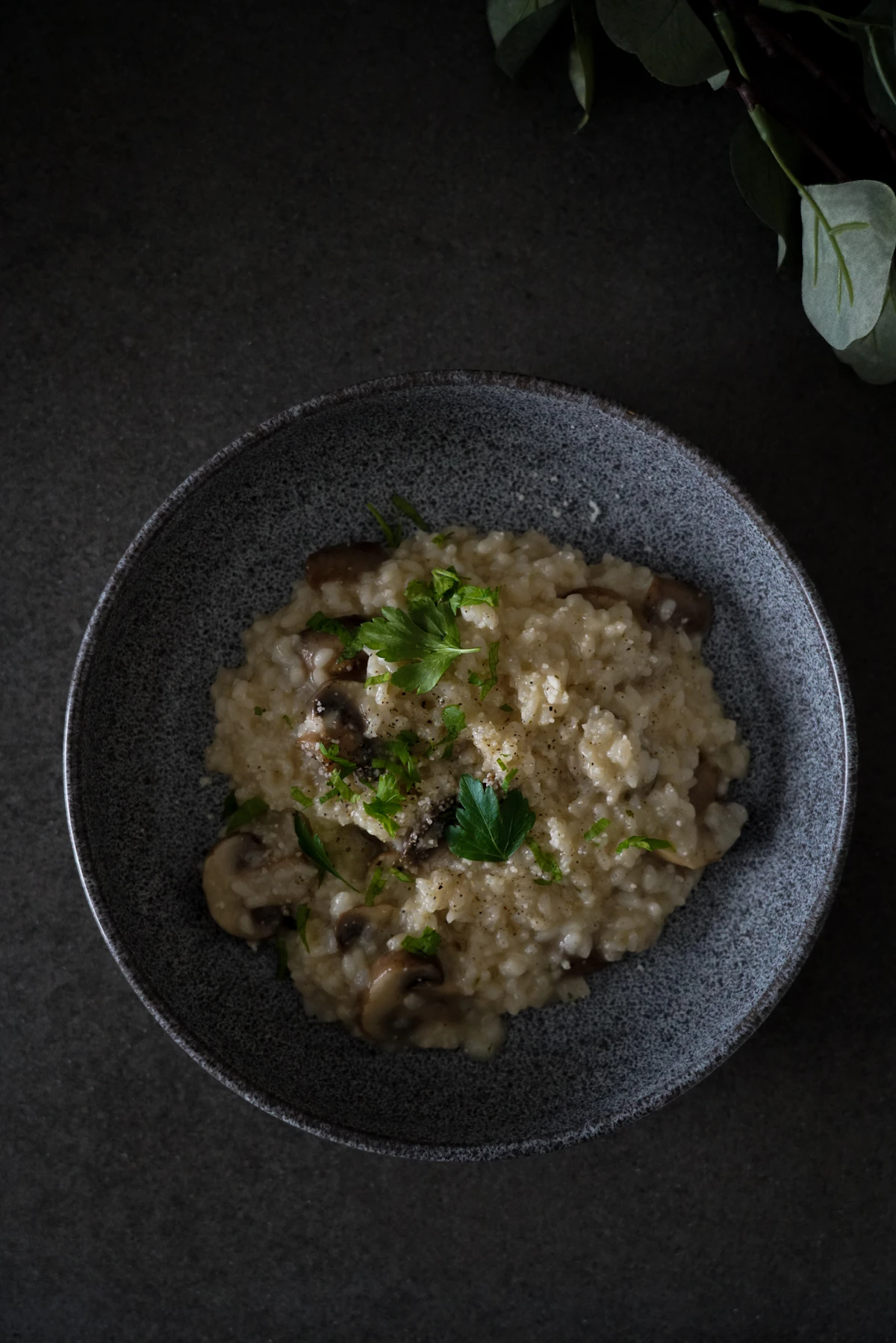 Creamy Mushroom Risotto