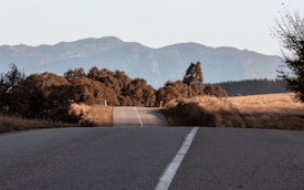 A winding road stretches into the distance, flanked by golden fields and lush trees under a vast sky. In the background, majestic mountains rise, giving a sense of tranquility and open space.