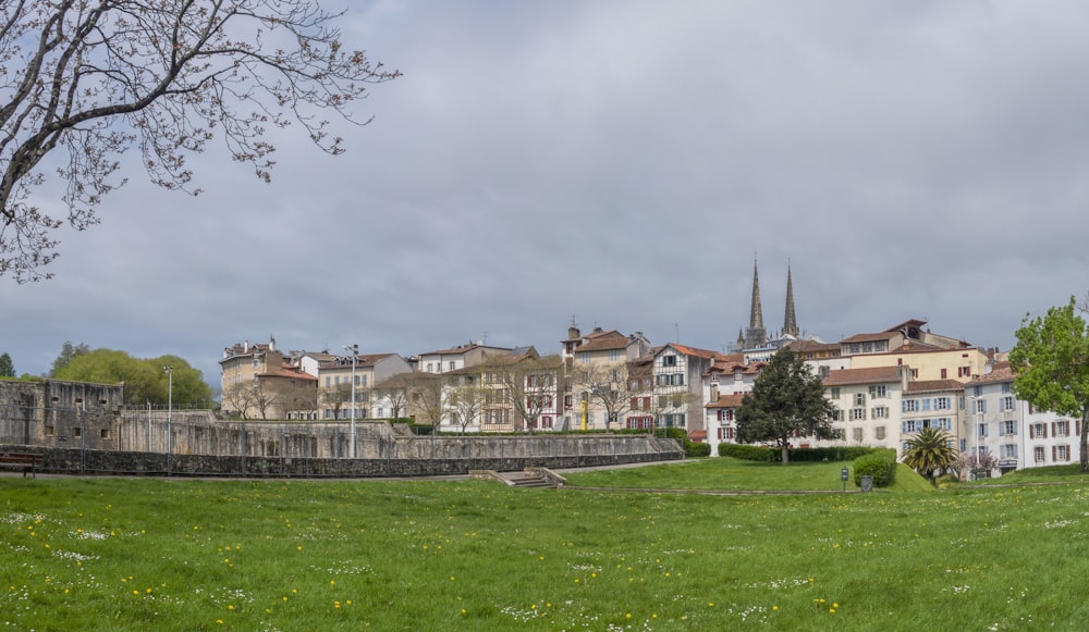 a grassy field with buildings in the background