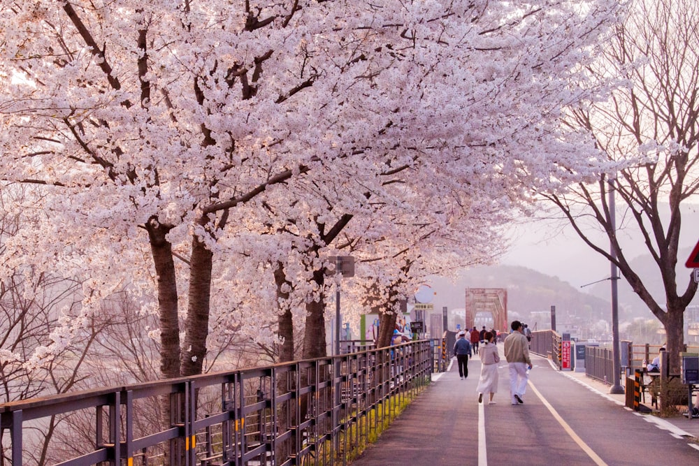 a couple of people walking down a street next to trees