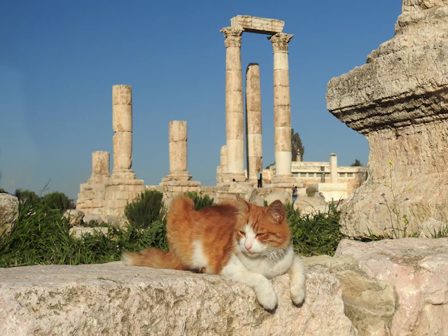 3-Day Amman Budget Itinerary: Jordan on a Shoestring