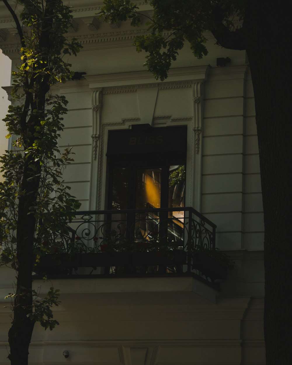 a building with a balcony and a tree in front of it