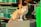 A ginger and white cat sits on a large plastic container surrounded by green plastic crates and various metal tools. The cat looks curious and attentive.