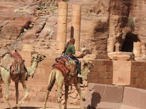A person rides a camel in a desert setting, surrounded by ancient ruins made of sandstone. The scene includes two camels adorned with colorful blankets, navigating through an area with weathered stone columns and rocky terrain.