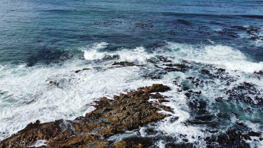 Una vista de un cuerpo de agua con rocas en primer plano