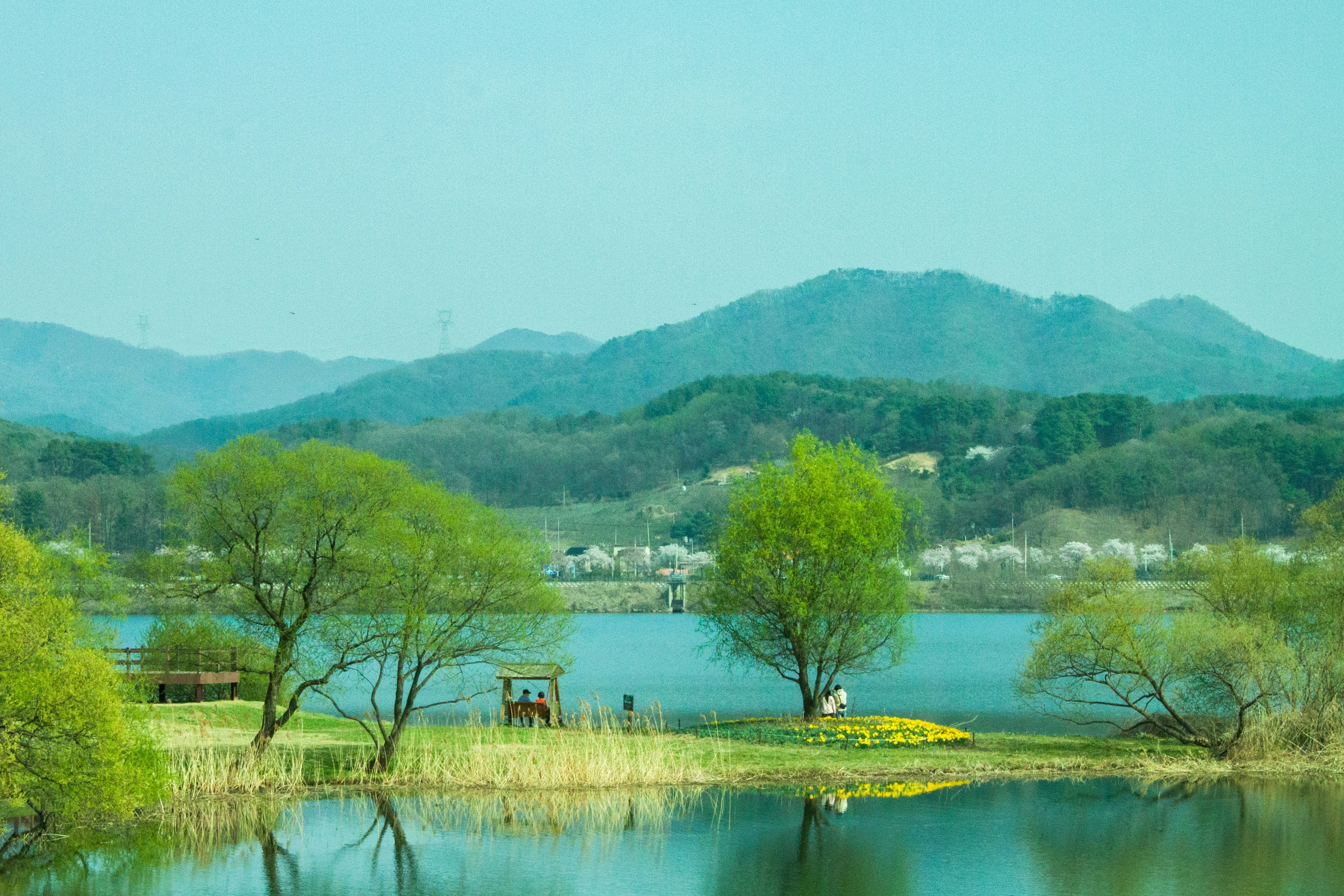 a lake surrounded by trees and mountains in the background