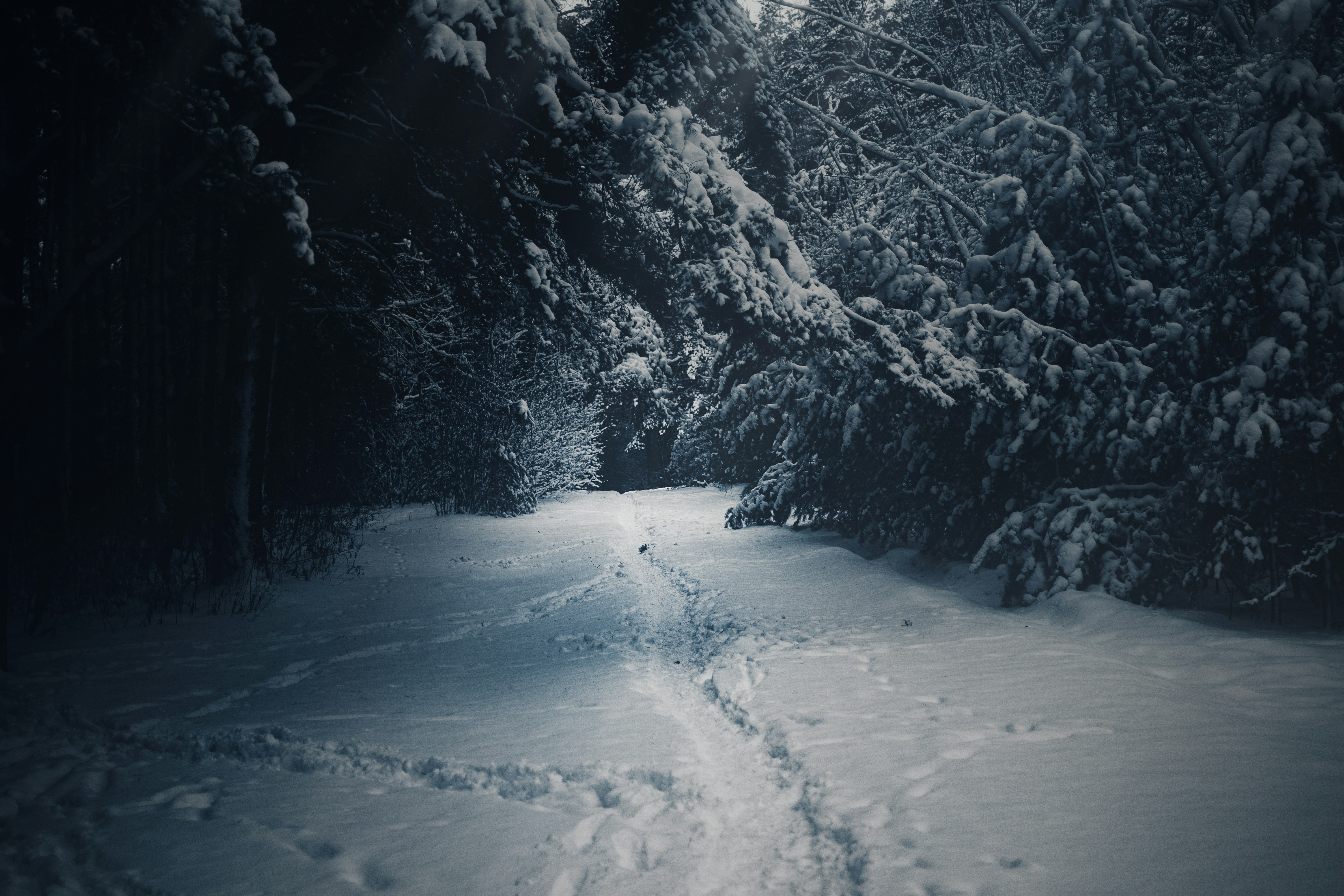 Photo by eadutskevich