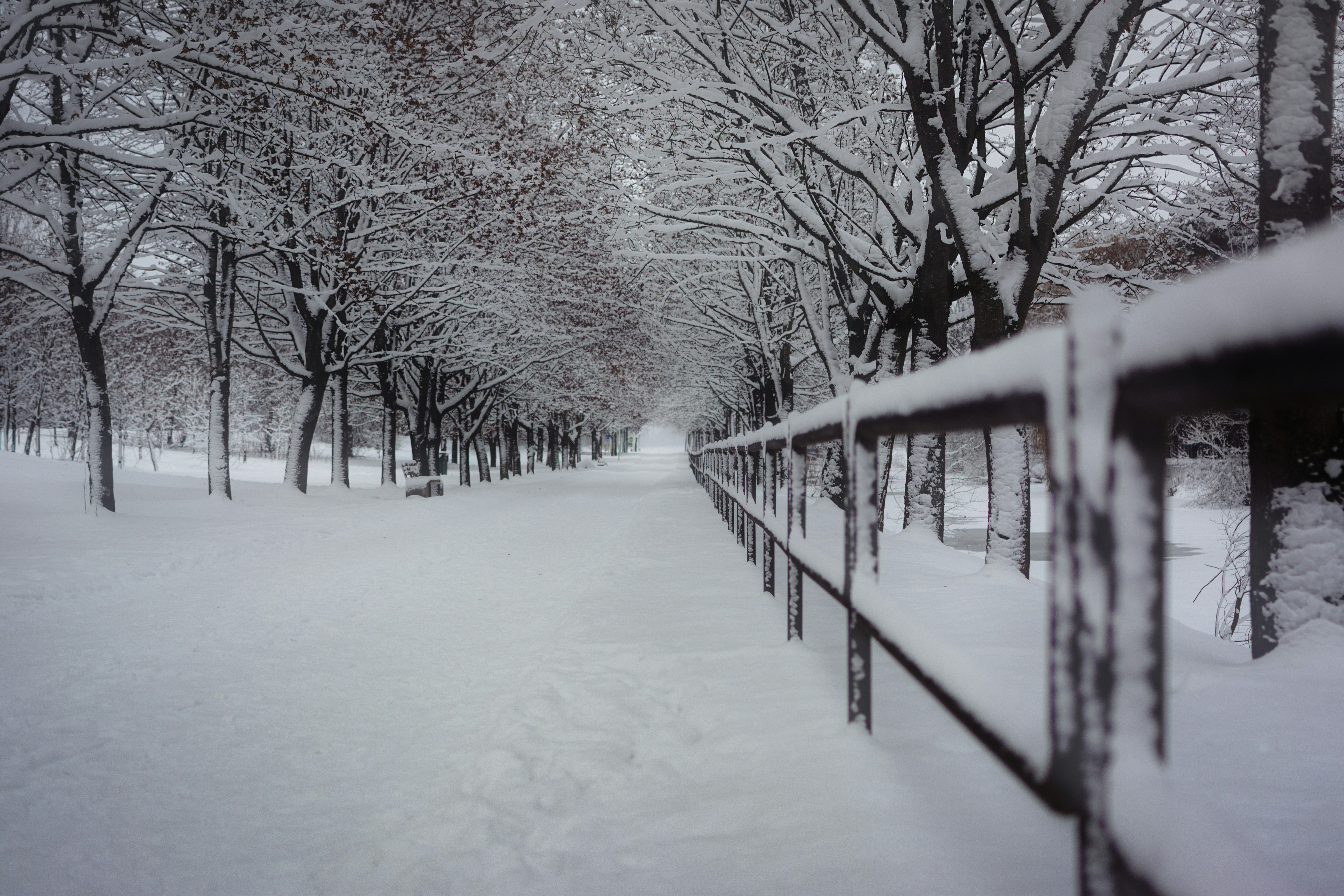 Photo by eadutskevich