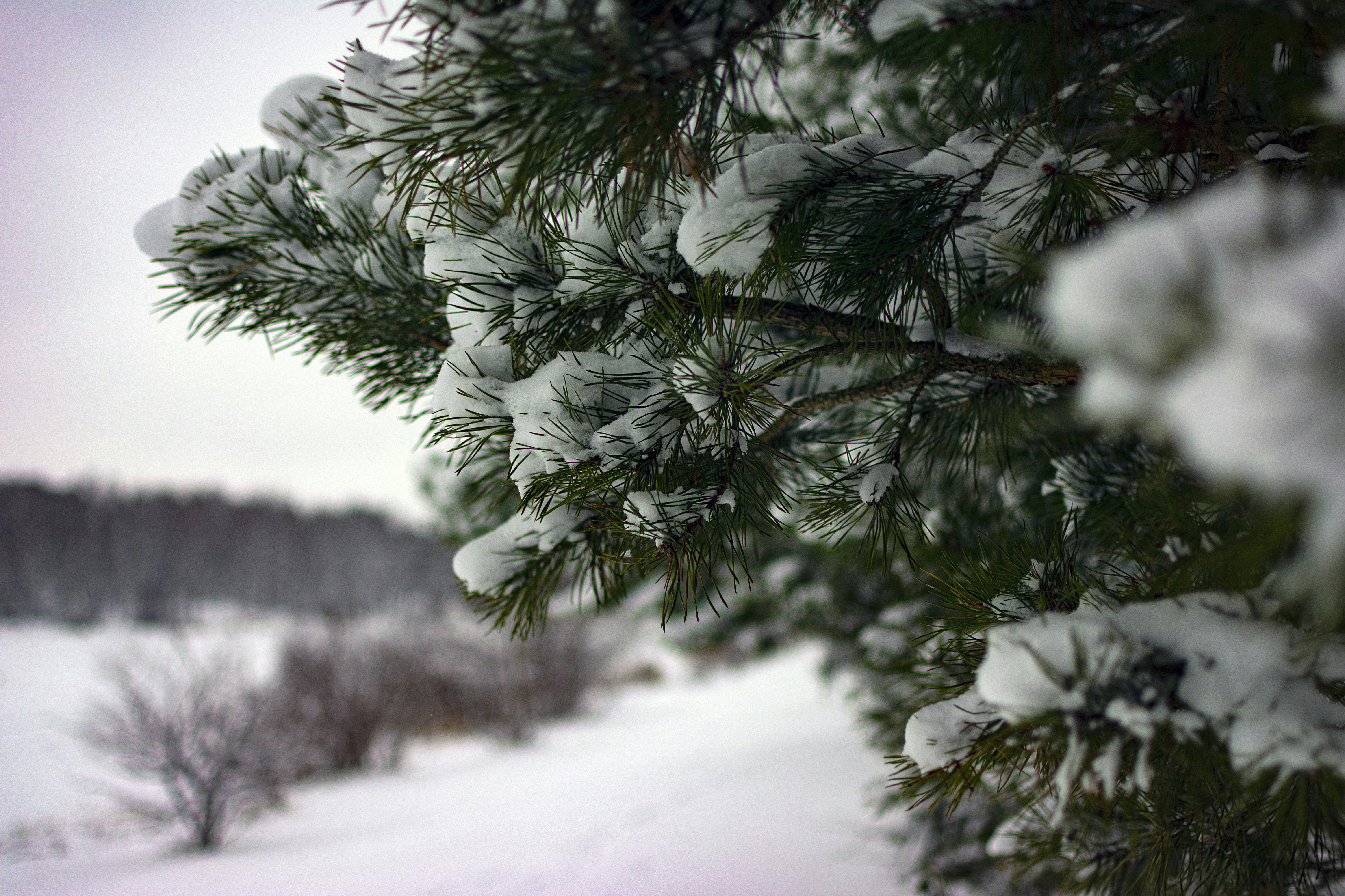 Photo by eadutskevich