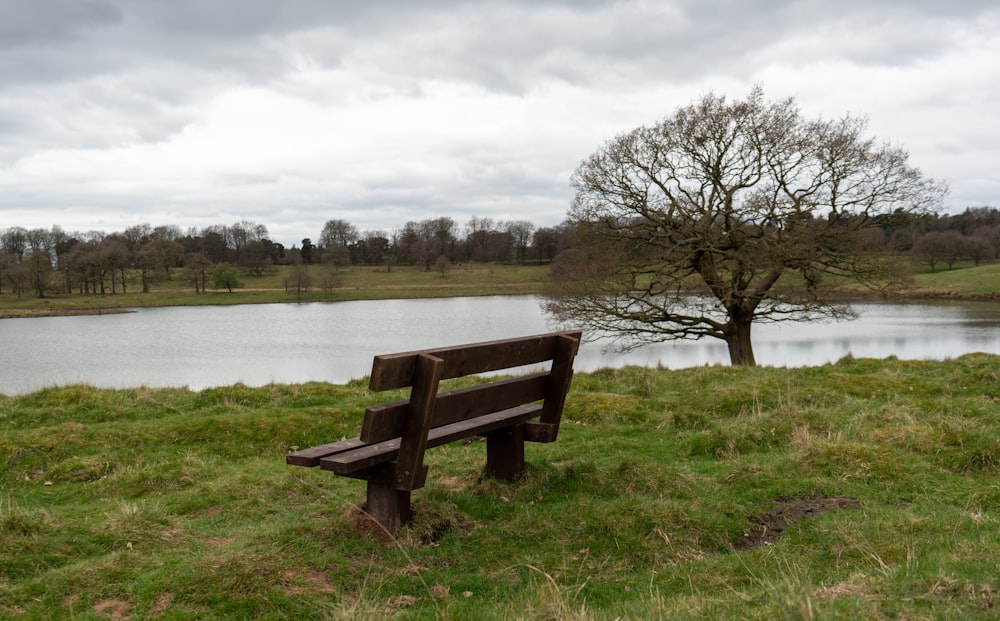 緑豊かな野原の上に座る木製のベンチ