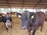 Several cows inside a barn are surrounded by straw bedding on the ground. The cows have identification tags on their ears and the barn features a corrugated metal roof. Natural light enters through the open sides of the structure, providing a view of some trees outside.