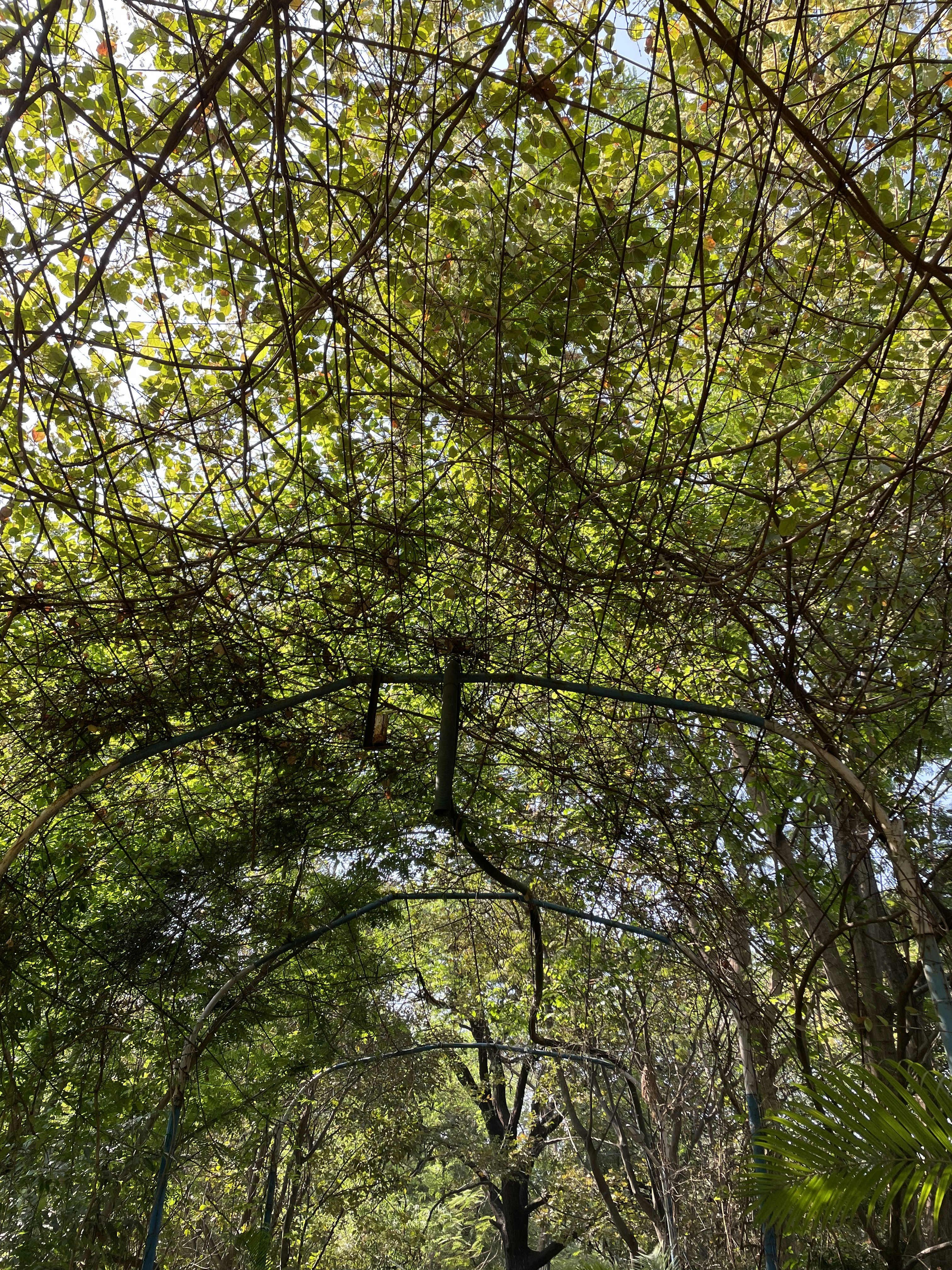 Photo by sahilgokhale