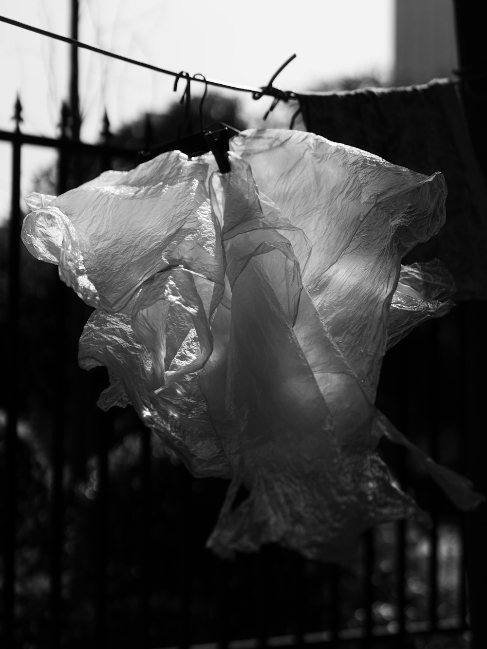 a plastic bag hanging from a clothes line