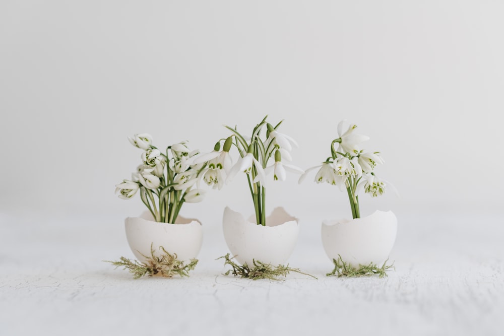 three eggs with flowers in them sitting on a table