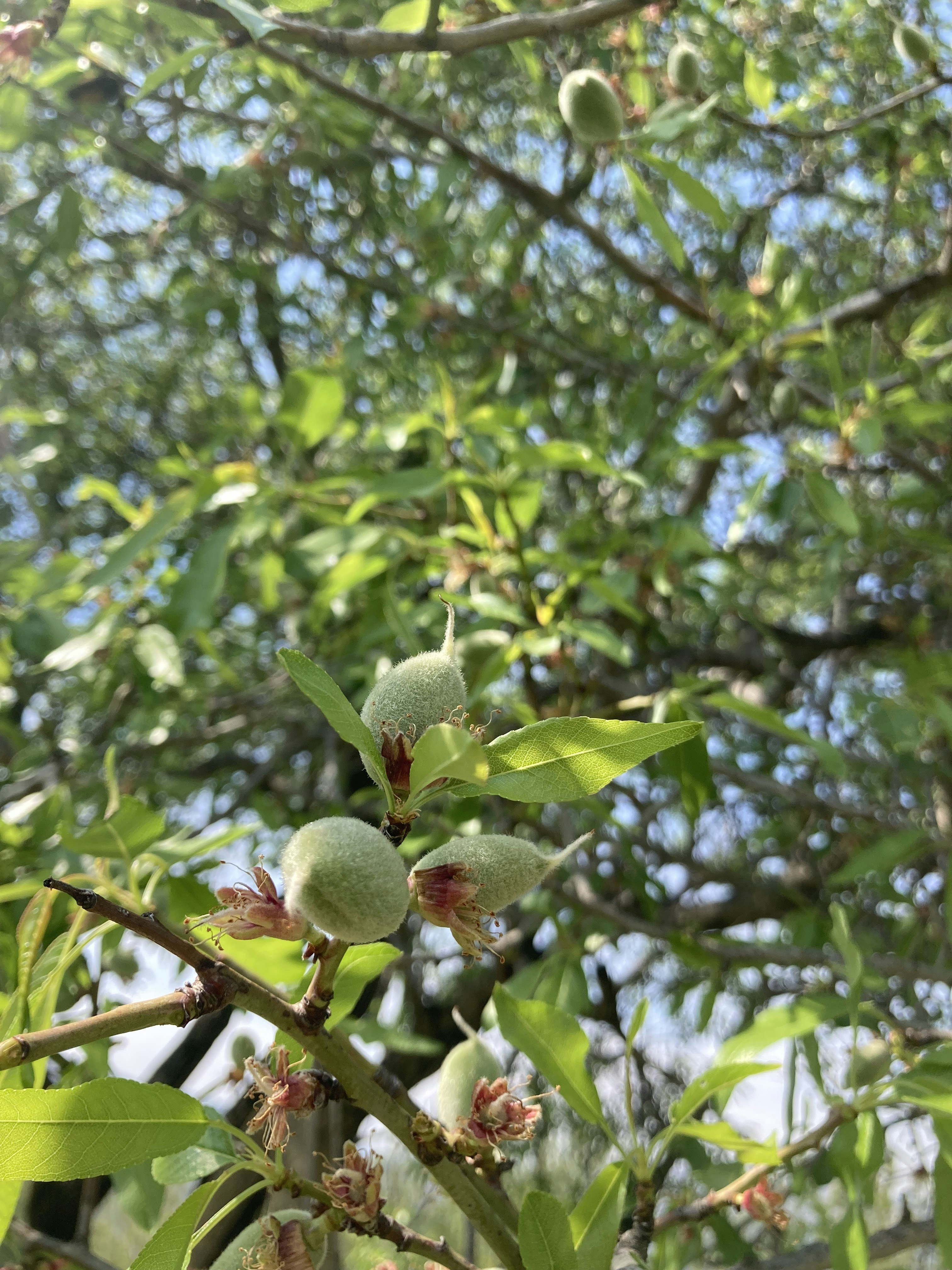 Photo by mertkaraagac