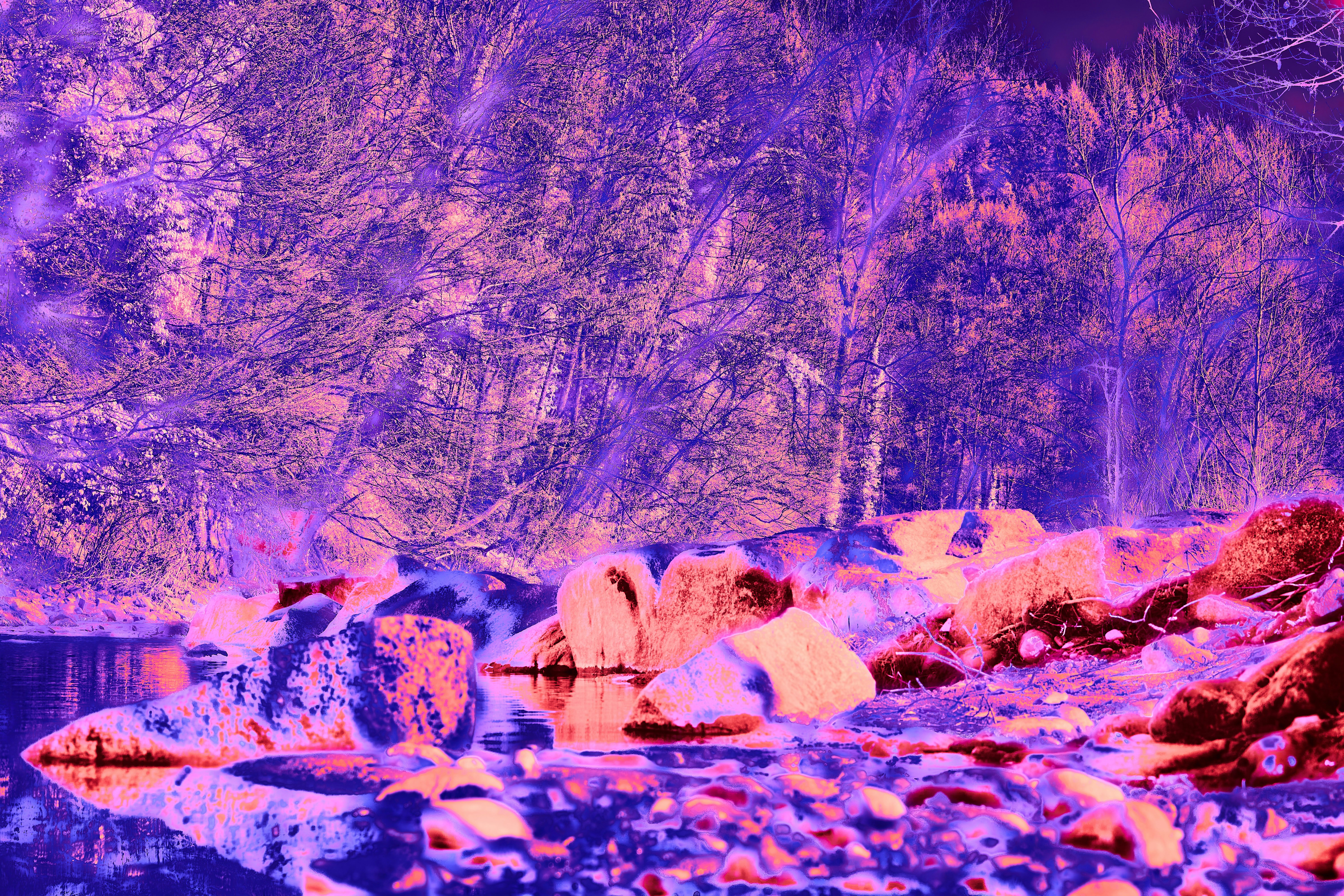 Photo by wolfgang_hasselmann