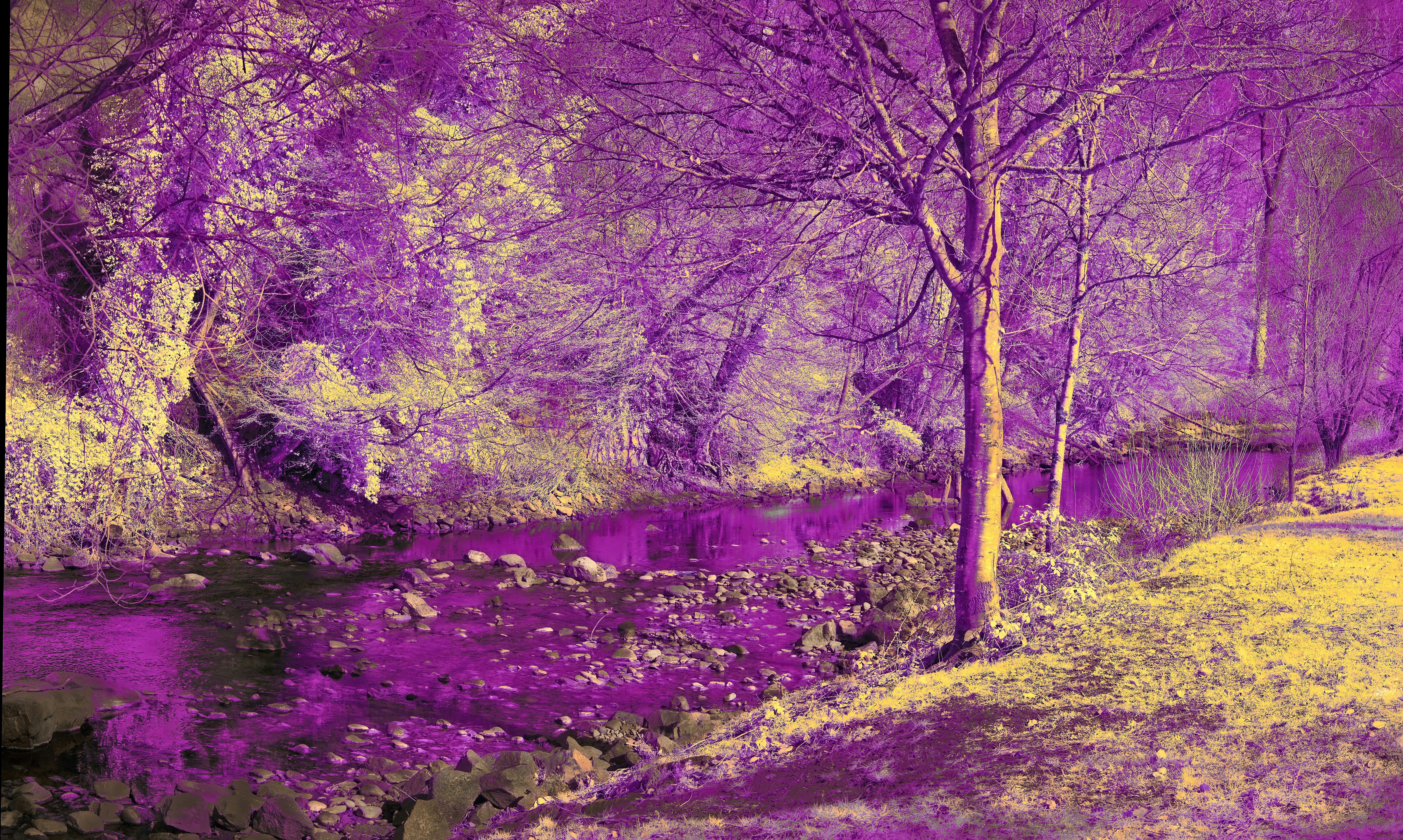 Photo by wolfgang_hasselmann