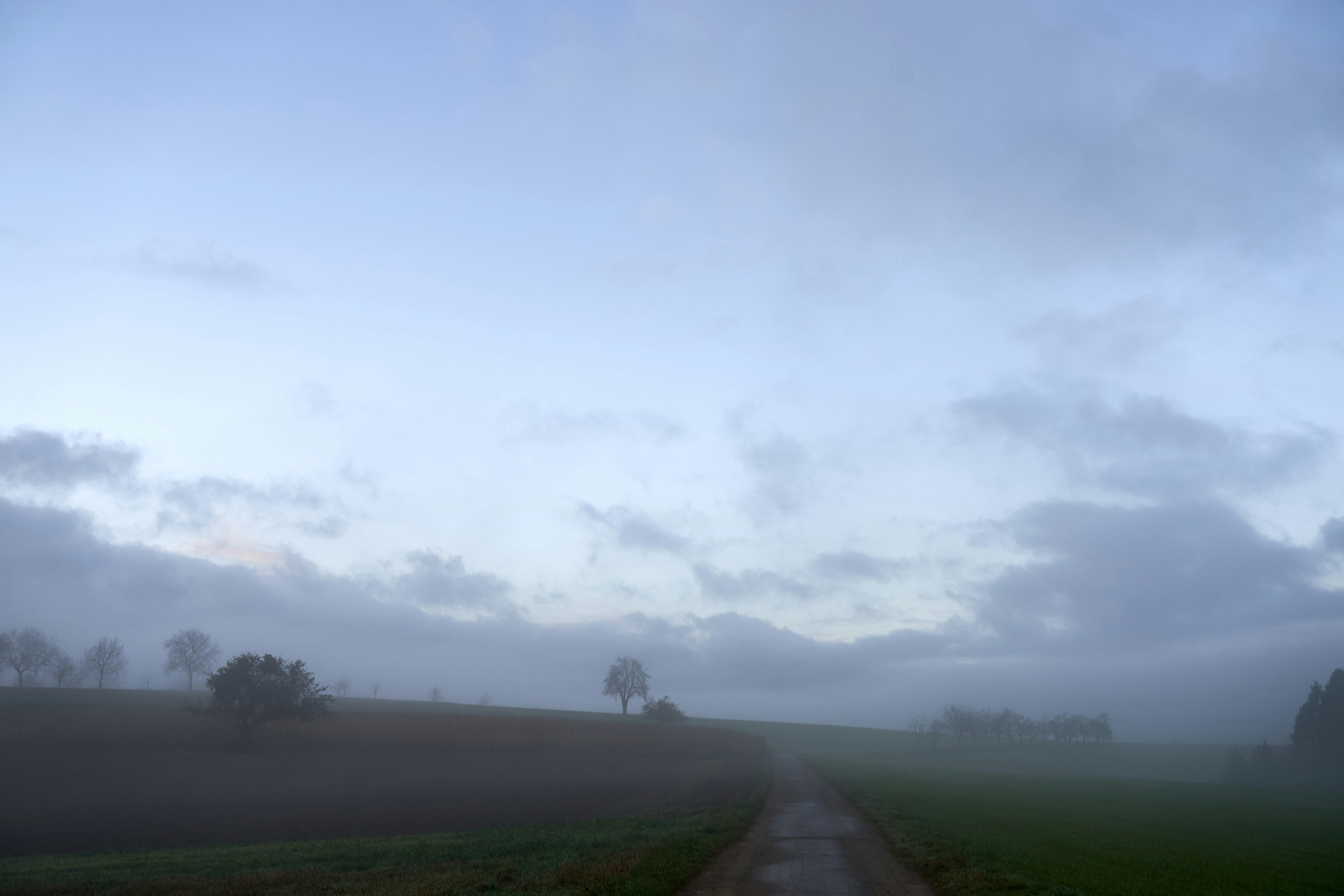 Photo by wolfgang_hasselmann