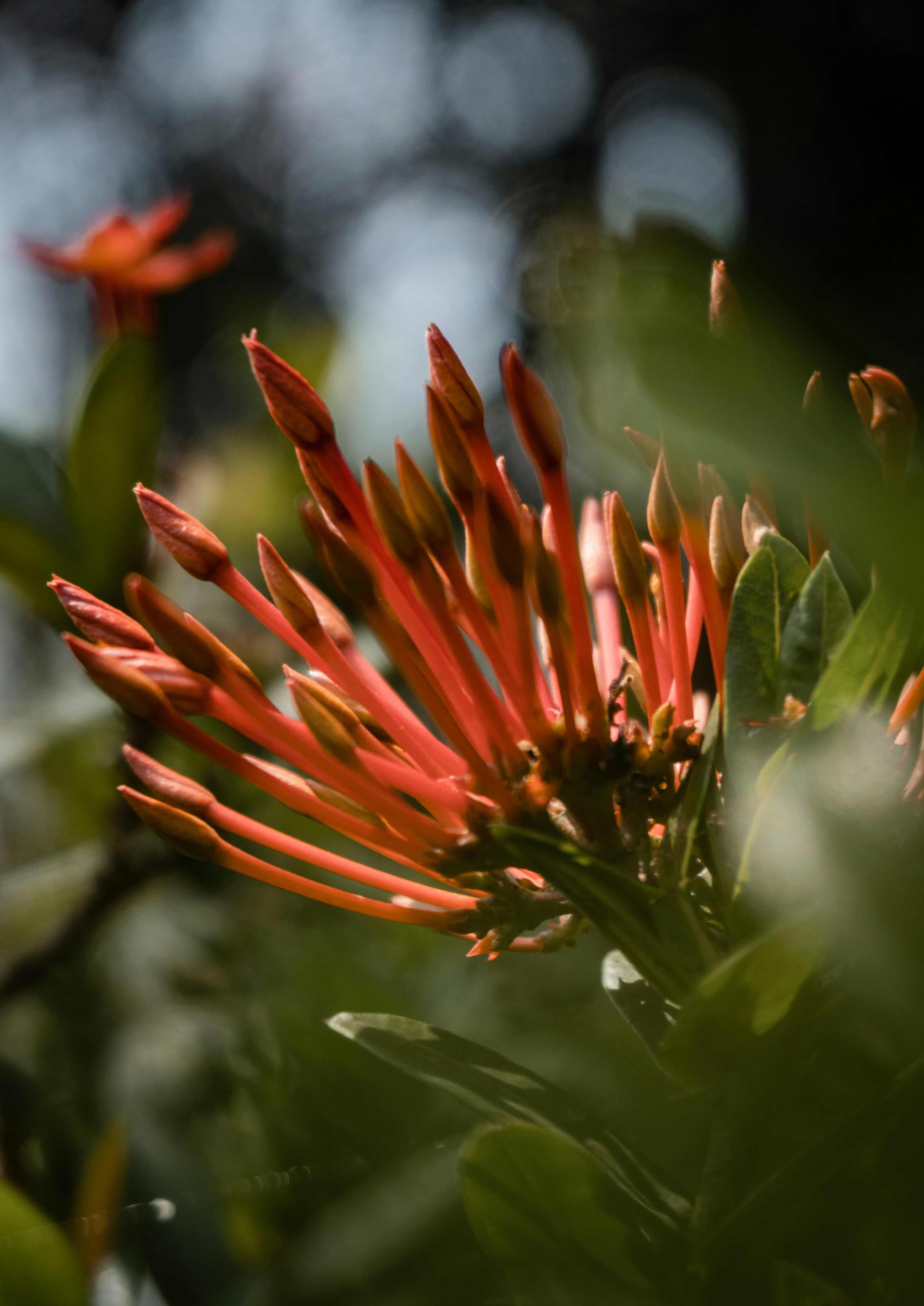 Photo by royphotography