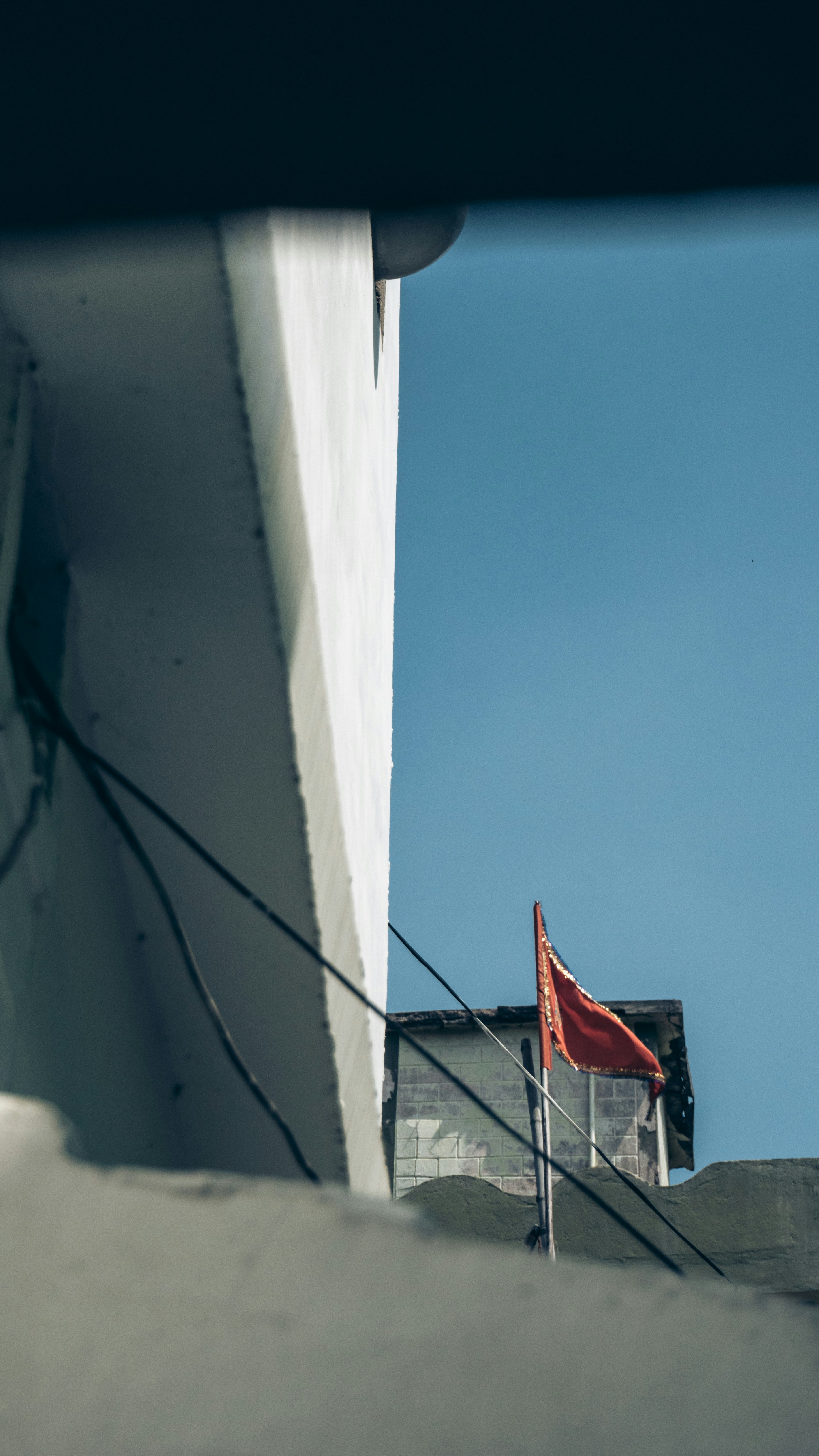 Photo by royphotography