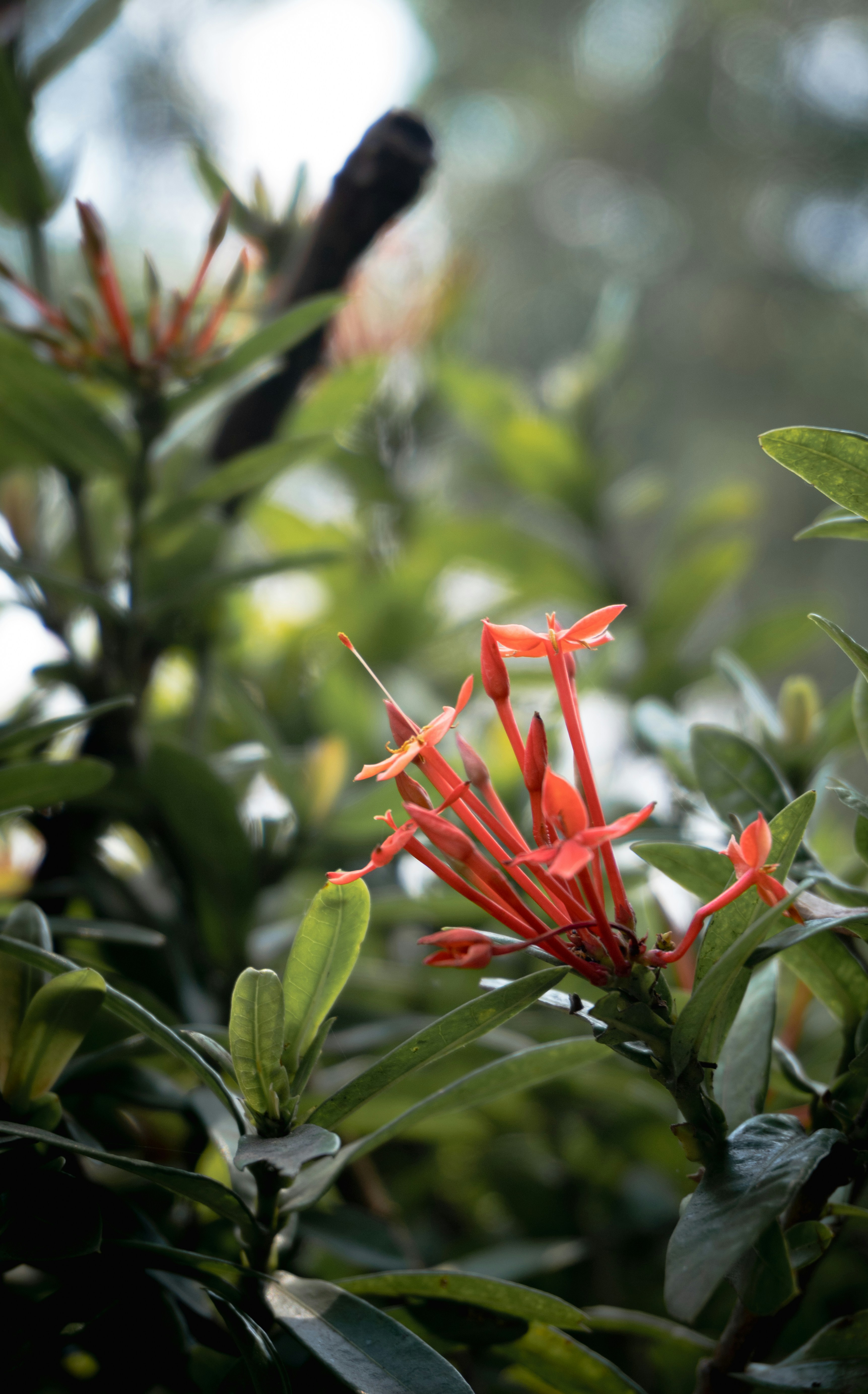 Photo by royphotography