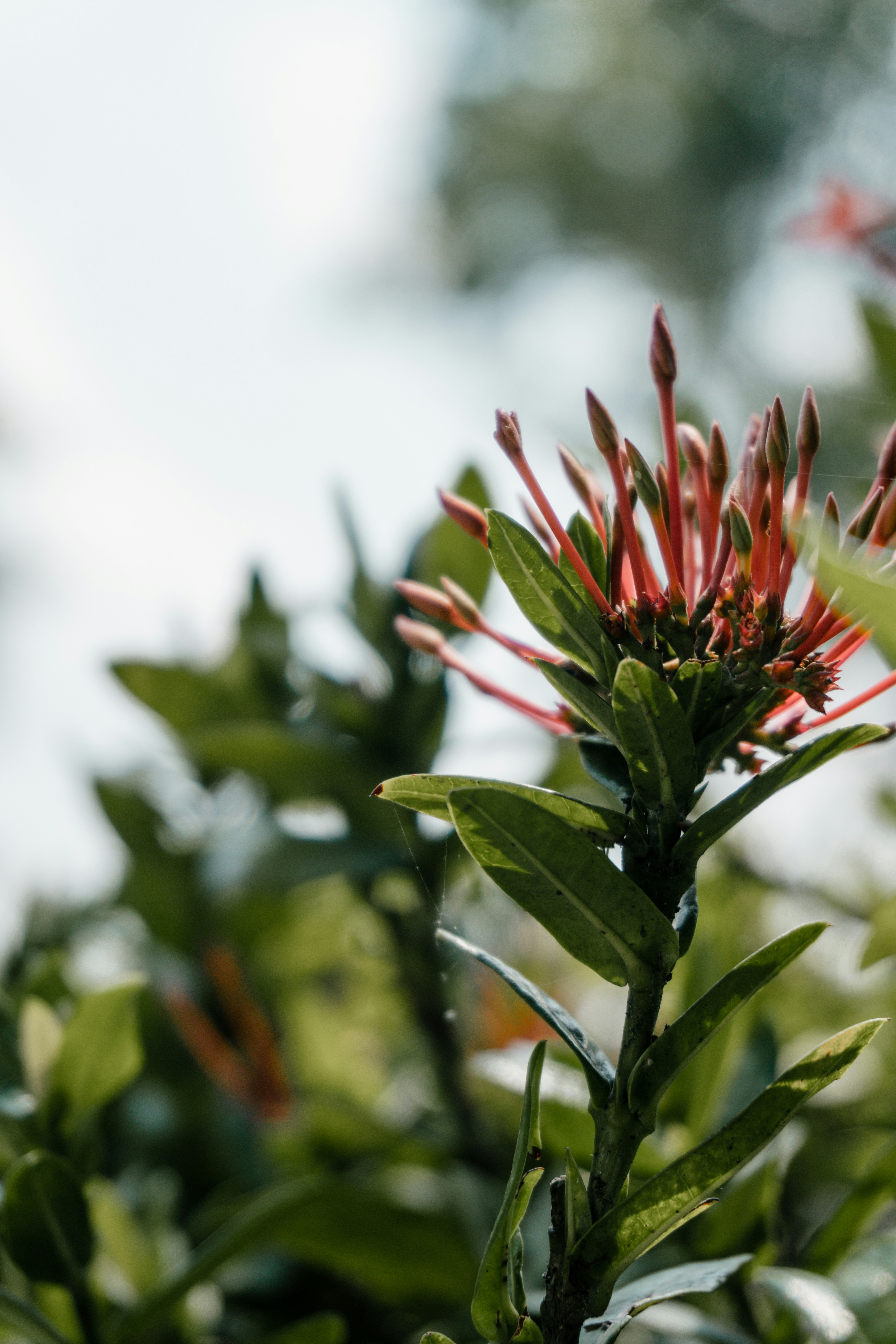 Photo by royphotography