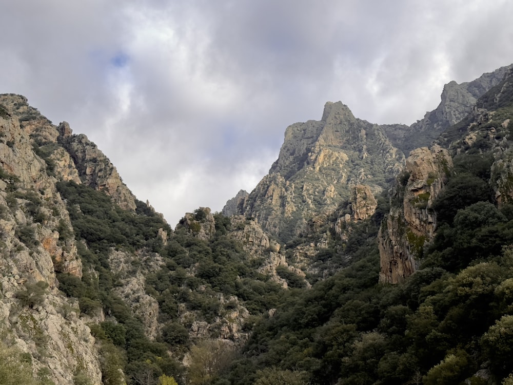 a group of mountains with trees in the foreground