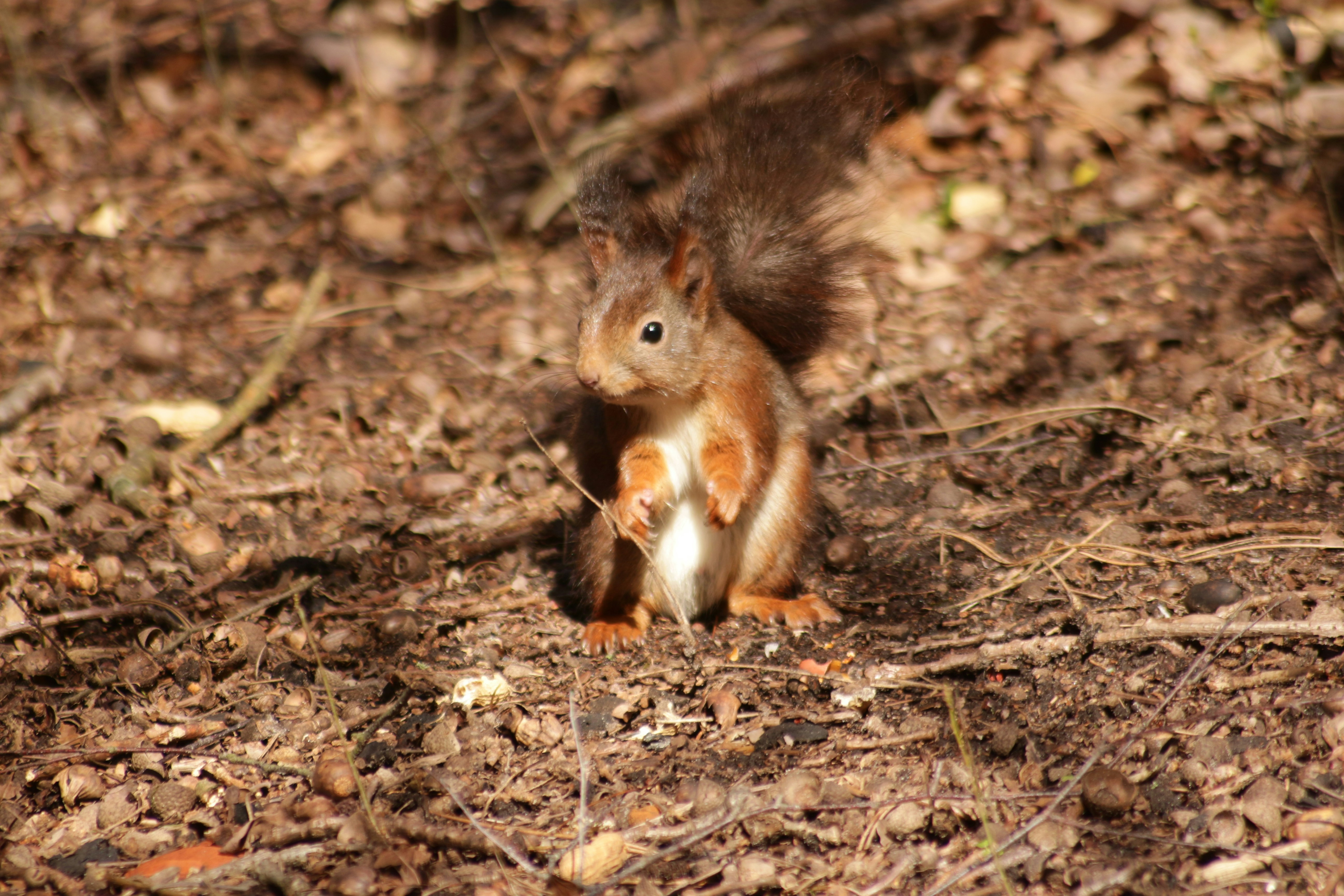 Photo by vanelkphotography