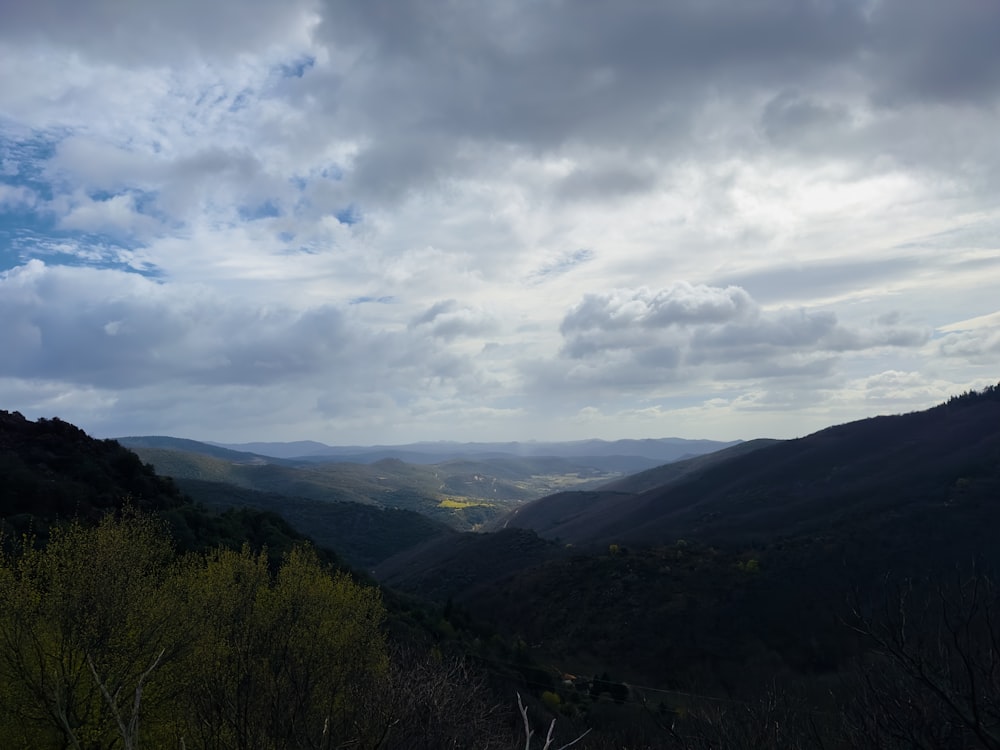 a view of a valley with trees and mountains in the background