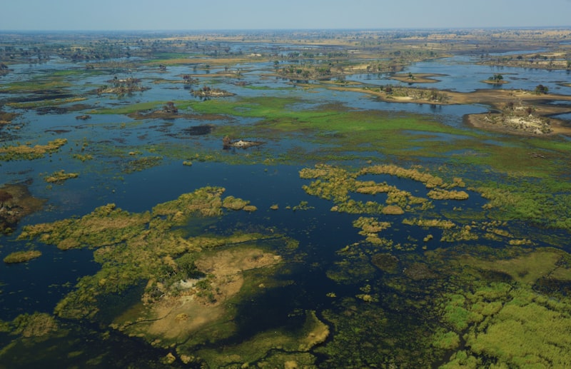 Vista aérea del Delta del Okavango