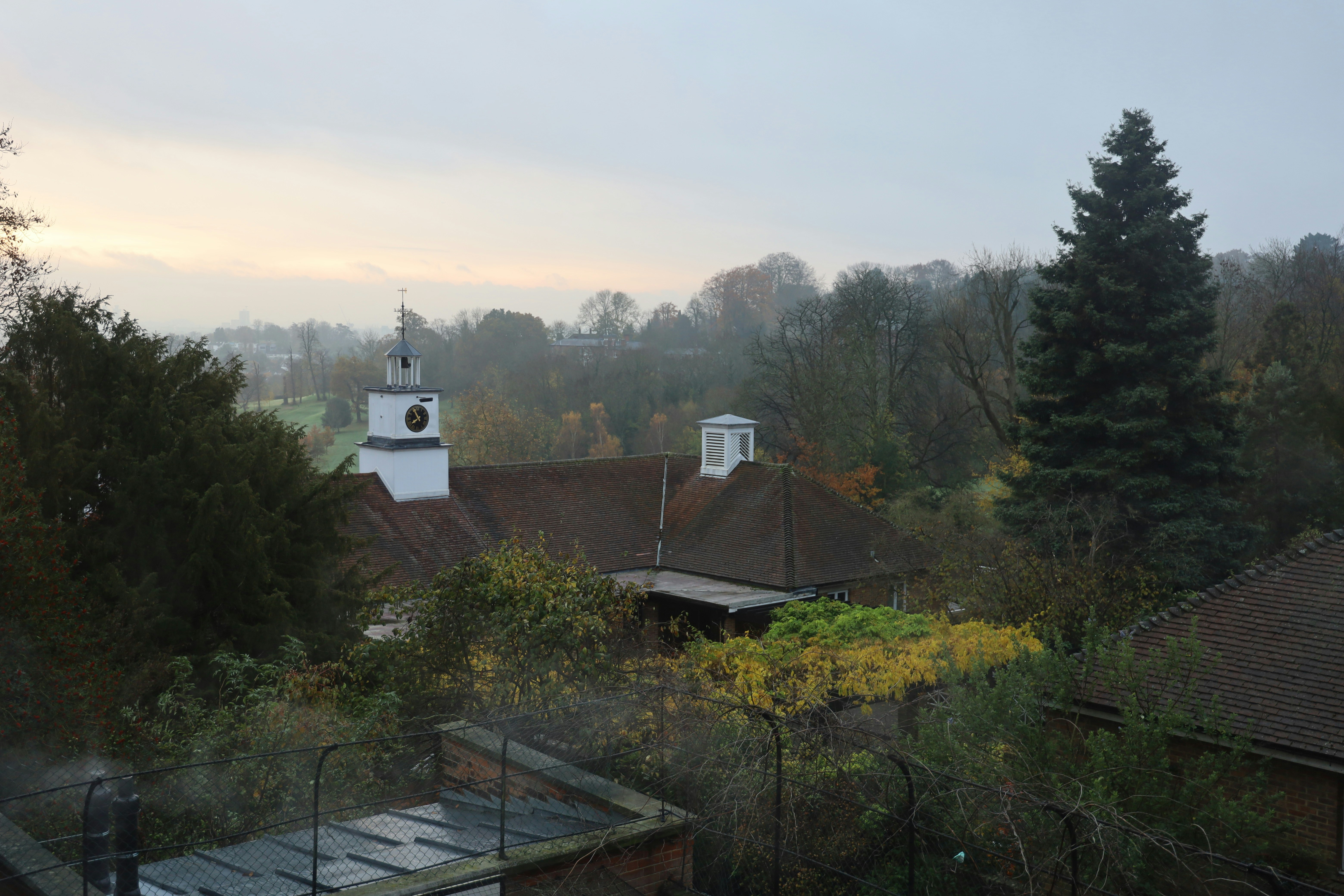 Photo by ulricozampa