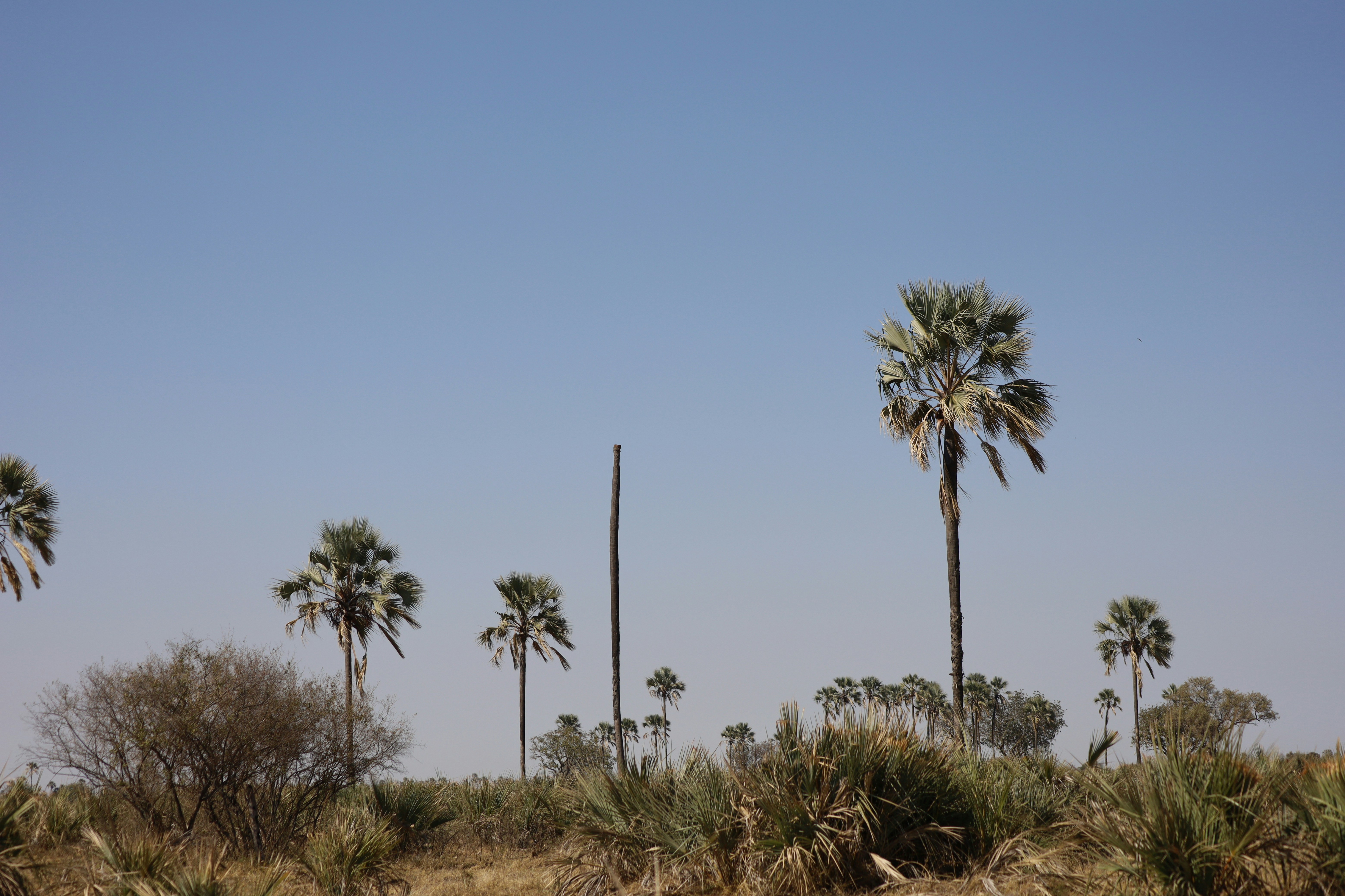 Photo by ulricozampa