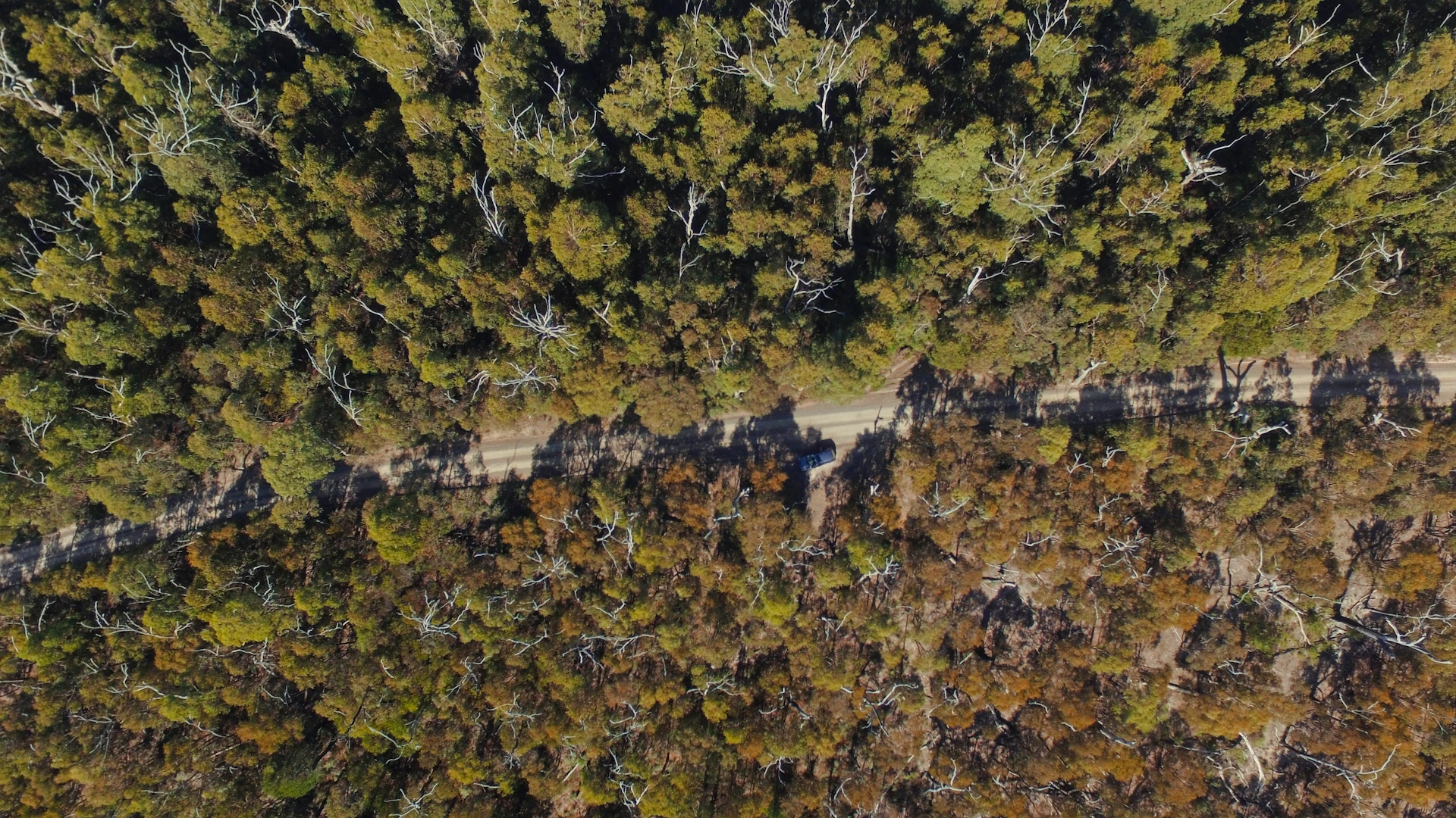 Aerial view of a rugged dirt road in the Amazon before paving, surrounded by dense forest.