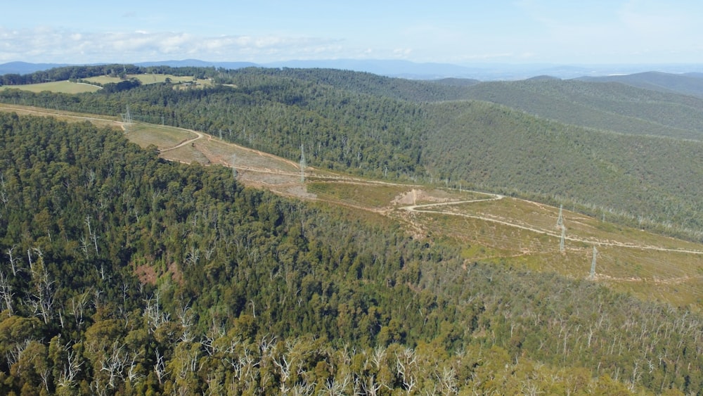an aerial view of a forest with a road going through it