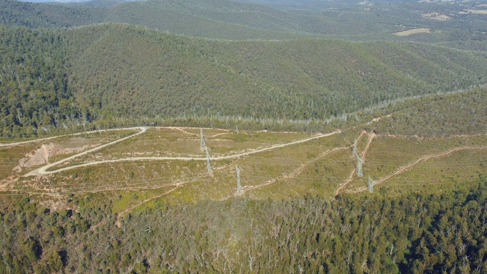 an aerial view of a road in the middle of a forest