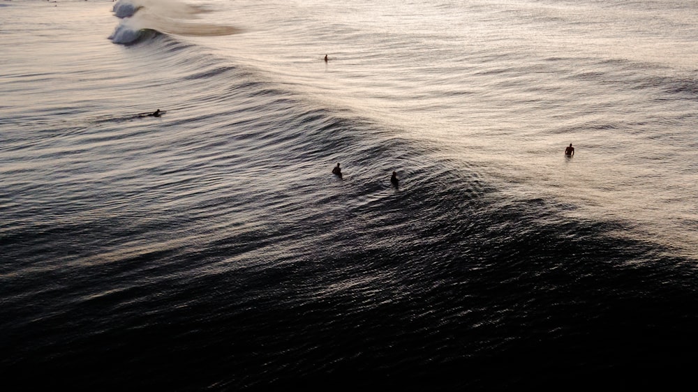 a group of people riding on top of a wave in the ocean