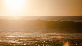 A serene ocean scene during sunset, where the sun casts a warm glow over gentle waves. Two surfers can be seen paddling on their boards near the crest of the waves, silhouetted against the golden light.