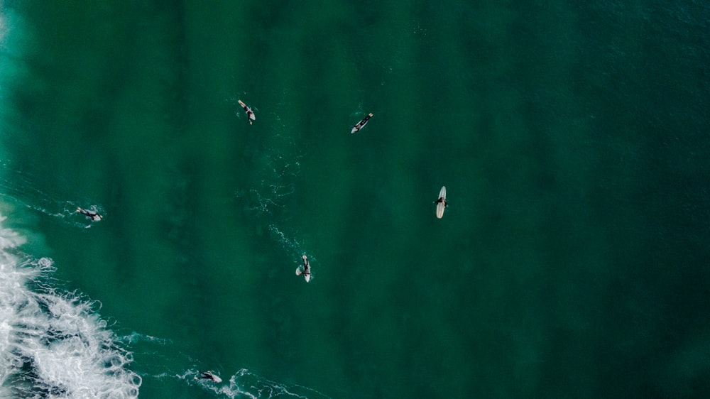 a group of people riding surfboards on top of a body of water