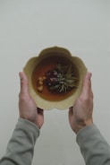 Two hands holding a beige, scalloped bowl filled with a brown liquid and various herbal ingredients, such as leaves and berries.